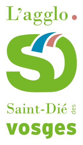 St Dié des Vosges